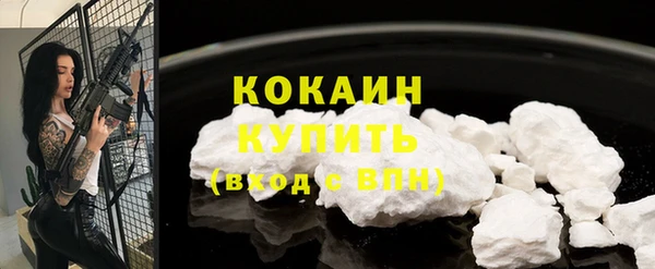 прущий лед Алзамай