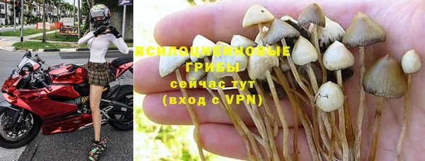 дживик Алексеевка