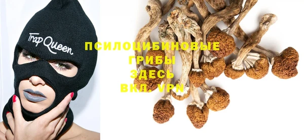 дживик Алексеевка